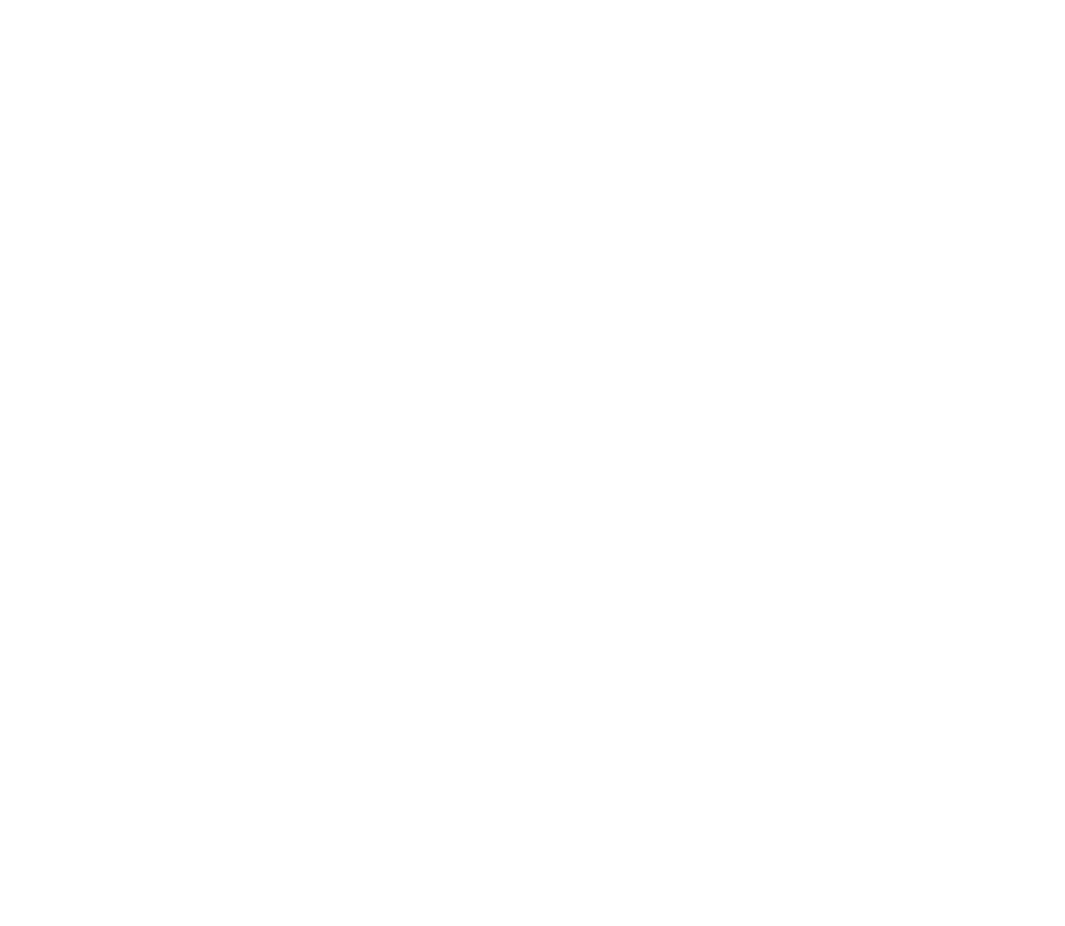 BSM SkillBridge